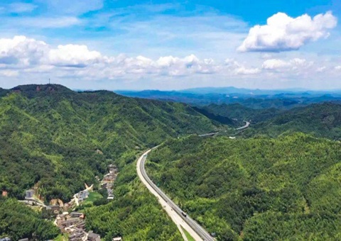 广东河源探索“林耕置换”路径  吸引投资达70亿