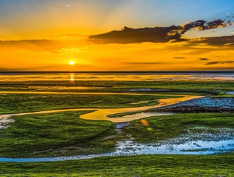 自然资源领域专项妄想