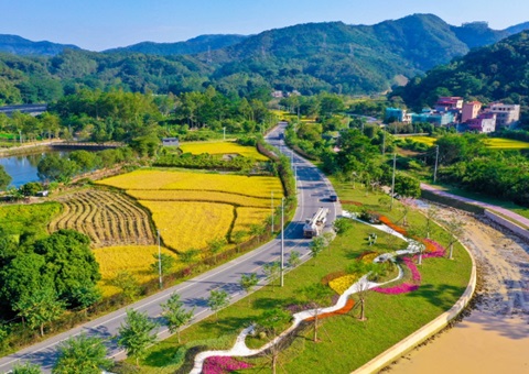 四川省宣布首个地方性县域数字墟落建设与运营指南