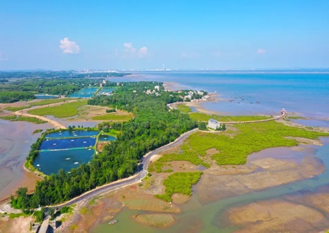 广西北部湾畔：墟落妄想引领古渔村“蝶变”
