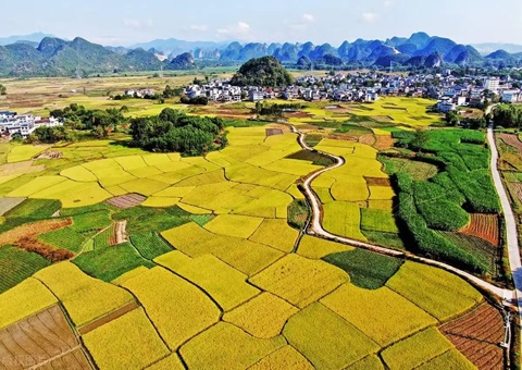 强化“指挥棒”作用  柳州市发放500万元耕地；ぁ凹だ彀