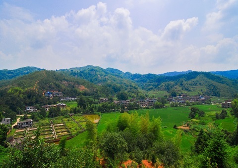 江西省赣州市石城县：：紧扣“三提三用”事情主线 铸造自然资源铁军