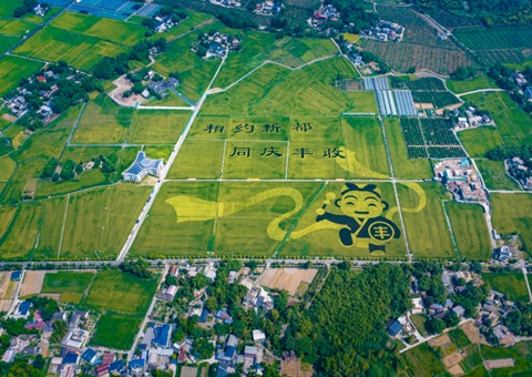 成都宣布耕地保唬唬护妄想！未来10年这样筑牢“天府粮仓”基本