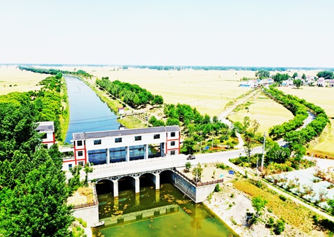 淮北市：：“聘”好驻镇妄想师 做优“陪同式”墟落妄想服务