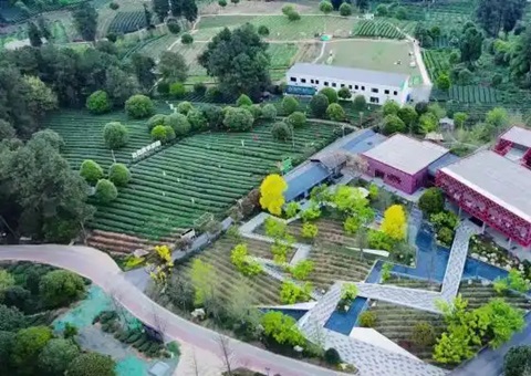 林间“种”出科创空间：四川蒲江用生态颜值撬动经济价值