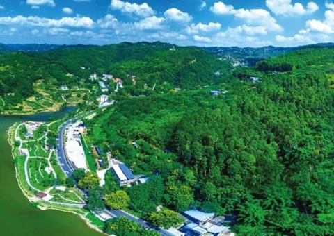 包管重大项目加速落地！！成都会构建用地用林联动审查机制