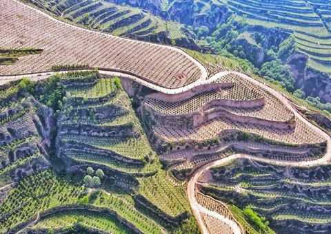 兰州探索林业生态价值转化新模式