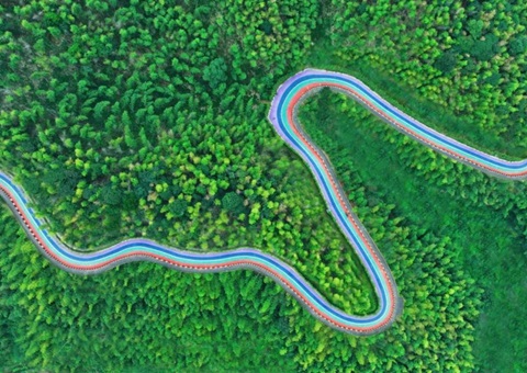 组合供应出新招，，竹海收益节节高——桃江县“桃花江竹！弊匀蛔试醋什楹瞎┯ν贫芳壑凳迪职咐