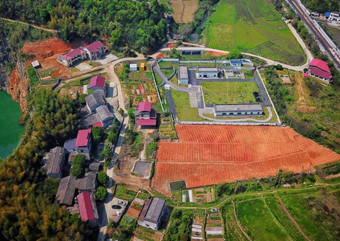 株洲：：：“三链联动”推动耕地耕作层剥离再使用